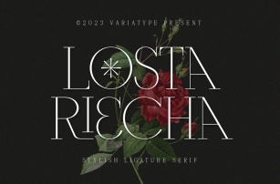 Losta Riecha Font Font Download