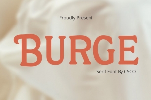 Burge â€“ Cute Serif Font Download