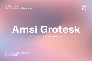 Amsi Grotesk Font Font Download