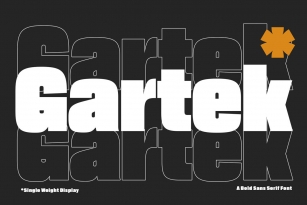 TBS Gartek Font Font Download