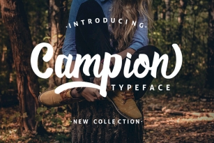 Campion Typeface Font Font Download