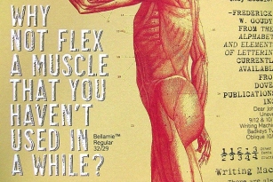 Bellamie Font Font Download