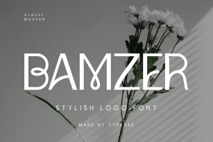 Bamzer Font Font Download