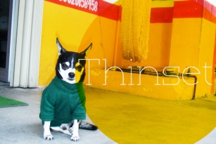 Thinset Font Font Download