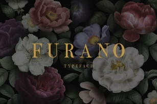 Furano Font Font Download