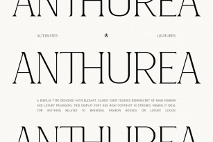 Anthurea Font Font Download