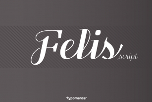 Felis Script Font Font Download
