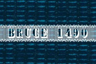 Bruce 1490 Font Font Download