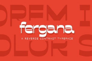 Fergana Font Font Download