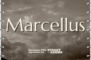 Marcellus Pro Font Font Download