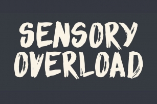 Sensory Overload Font Font Download