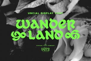 Wanderland Font Font Download