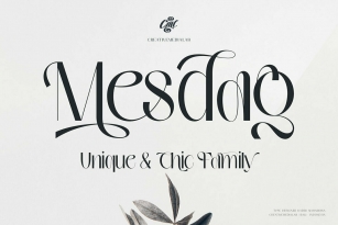 Mesdag Font Font Download
