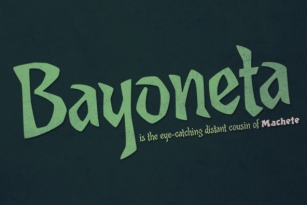 Bayoneta Pro Font Font Download