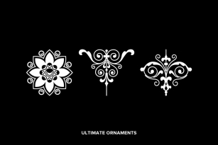 Ultimate Ornaments Font Font Download