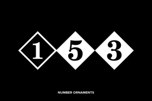 Number Ornaments Font Font Download