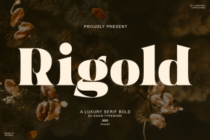 Rigold Font Font Download