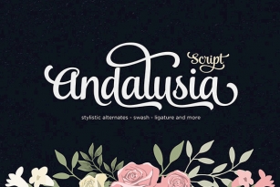 Andalusia Font Font Download