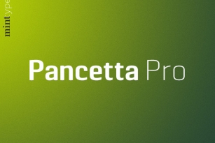 Pancetta Pro Font Font Download