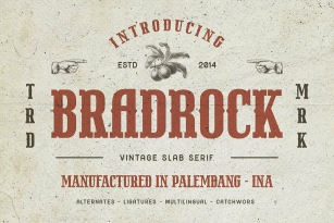 Breadrock Font Font Download