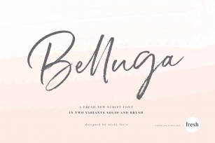 Belluga Script Font Font Download