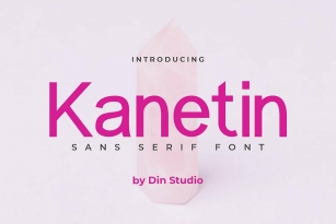 Kanetin Font Font Download