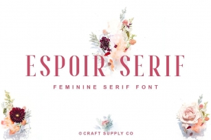 Espoir Serif Font Font Download