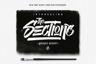 The Sectione Bright Font Font Download