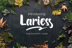 Lariess Brush Font Font Download