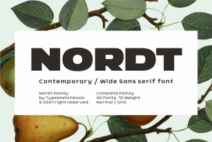 Nordt Font Font Download