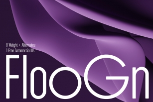 ZT Floogn Font Font Download