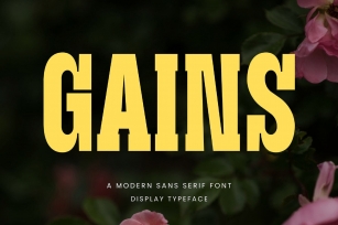 Gains Font Font Download