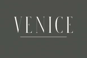 Venice Font Font Download