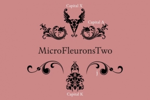 Micro Fleurons Two Font Font Download
