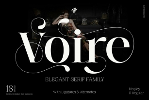 Voire Font Font Download