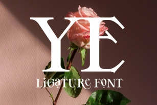 YE Font Font Download