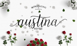 Austina Script Font Font Download