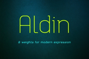 Aldin Font Font Download