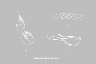 Calligraphia Latina Soft Four Font Font Download