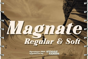 Magnate Font Font Download