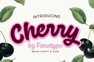 Cherry Font Font Download