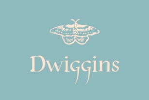 P22 Dwiggins Font Font Download
