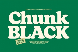 Chunk Black Font Font Download