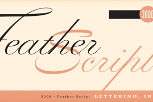 Feather Script Font Font Download