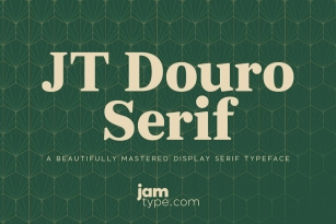 JT Douro Serif Font Font Download
