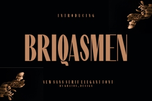 Briqasmen - Font Font Download