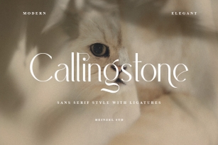 Callingstone Font Font Download