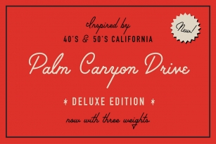 Palm Canyon Drive - Deluxe Edition Font Font Download