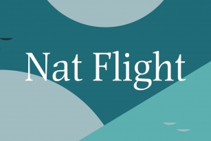 Nat Flight Font Font Download