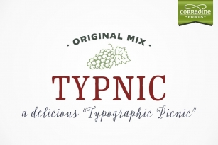 Typnic Font Font Download